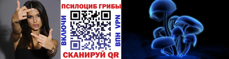 как найти закладки  Печора  Галлюциногенные грибы MAGIC MUSHROOMS 